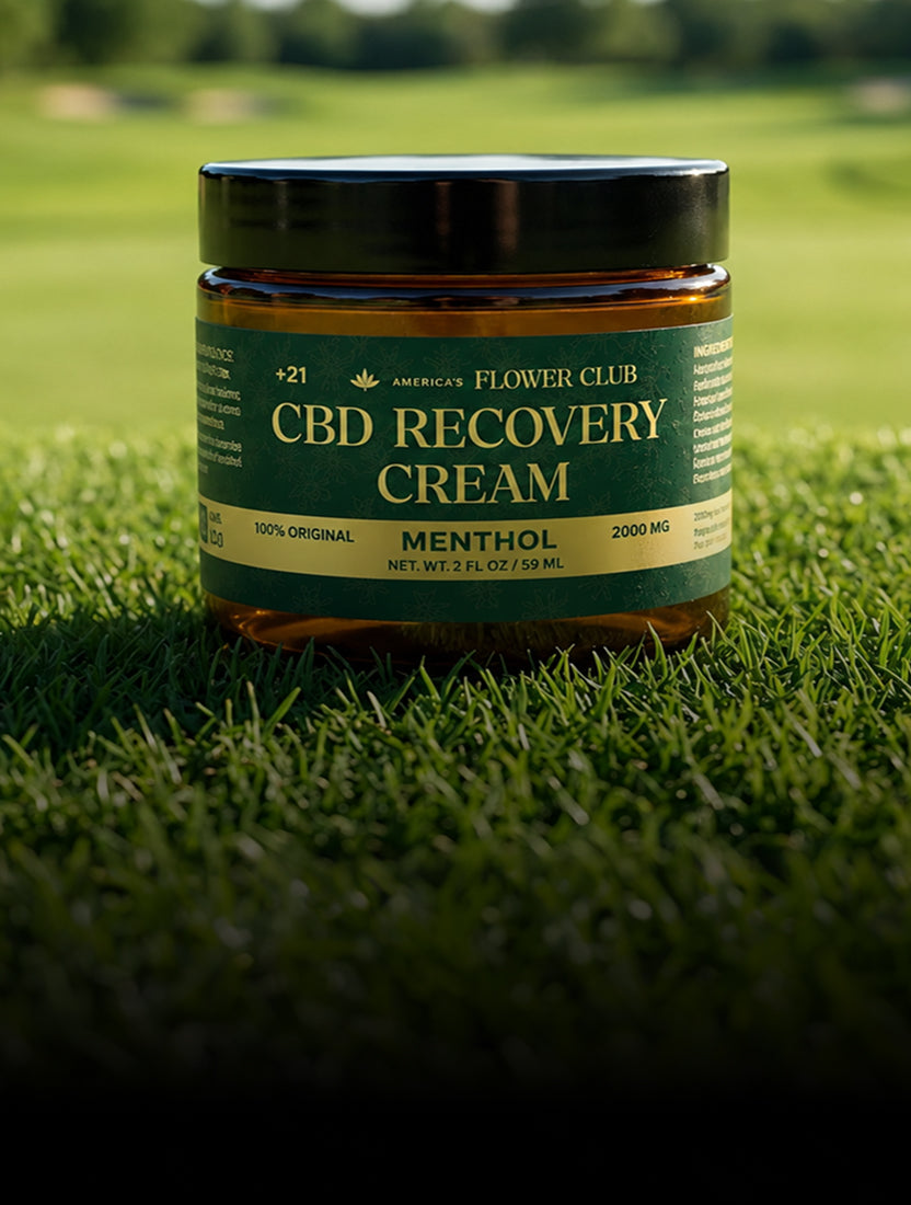 CBD Recovery Cream Menthol 2000 MG